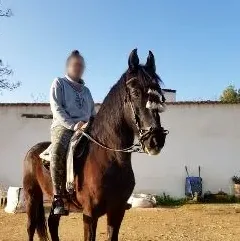 Marije, 31